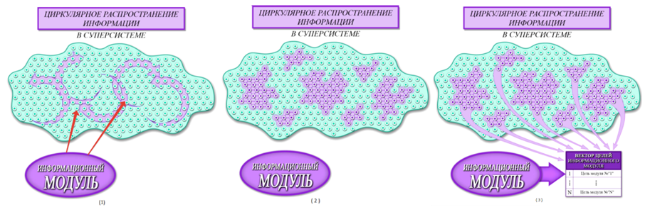 Рис 12 Способы управления _  структурный, в суперсистемах — бесструктурный и на основе виртуальных структур