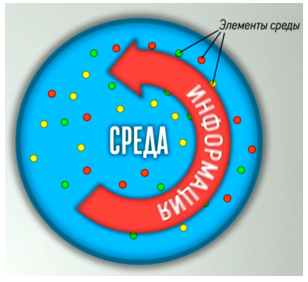 Рис 56